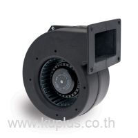 2GREA3 120x62R D25-A5