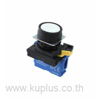 A22NN-BNA-NWA-G100-NN