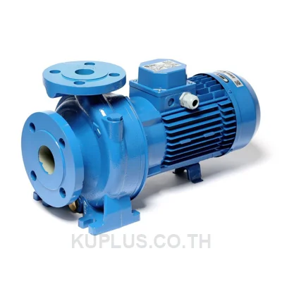 EBARA 3D 65-160/15 ปั๊มหอยโข่ง (หน้าแปลน) 3 x 2.1/2 นิ้ว 20.0 แรงม้า 380 โวลต์