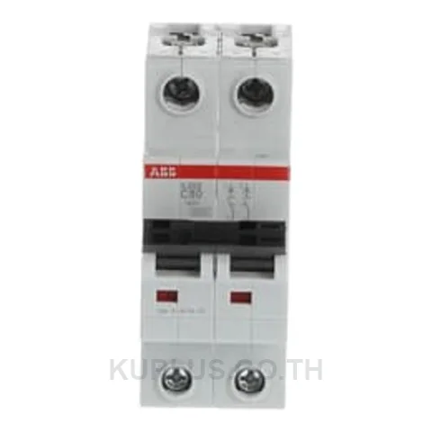 2CDS252230R0824, เซอร์กิตเบรกเกอร์ขนาดเล็ก (MCB) ABB System M Pro SY202-C100 2P 100A Curve C ทนกระแสลัดวงจร Icn 10kA