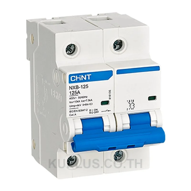 816135, เซอร์กิตเบรกเกอร์ขนาดเล็ก (MCB) Chint NXB-125 2P 125A Curve C 10kA