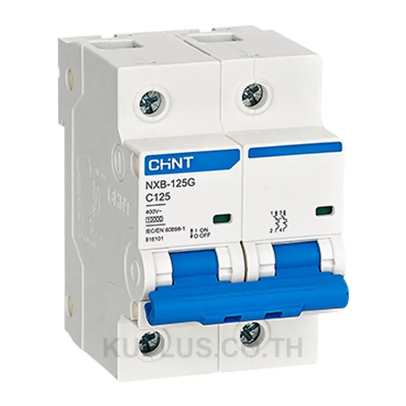 816101, เซอร์กิตเบรกเกอร์ขนาดเล็ก (MCB) Chint NXB-125G 2P 125A Curve C 10kA