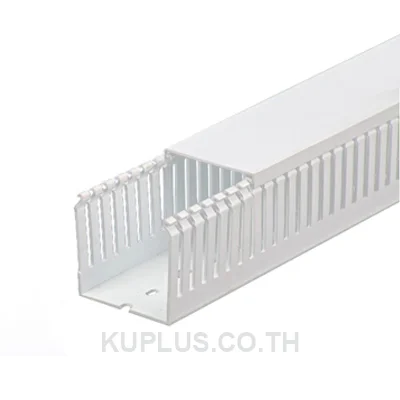 Wire Duct, Open Slot, White, 1 x 2.25" (WxH),
