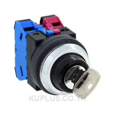 30mm TWN Series Selector Switch Key Selector 90°-2 position ASN2K11N