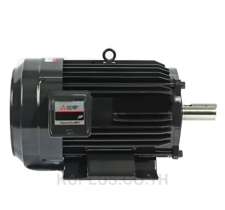 มอเตอร์ไฟฟ้าขาตั้ง  SF-QR 7.5KW 4P 10HP 3Phase 380/415V 4P (H)