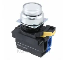 สวิตช์ปุ่มกด/ไพลอตแลมป์ OMRON A22NL-RPM-TWA-G100-WA SPST-NO 120 V 10 A