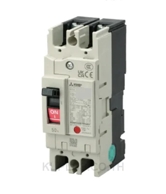NV63-CV 2P 15A 30MA , ELCB