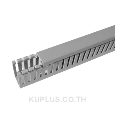 BANDEX WD-2545-4 Wiring Duct 25x45 mm, Slot 4 mm