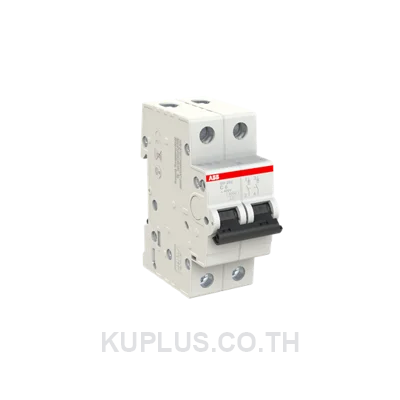 Miniature Circuit Breaker - SH200 - 2P - C - 6 ampere